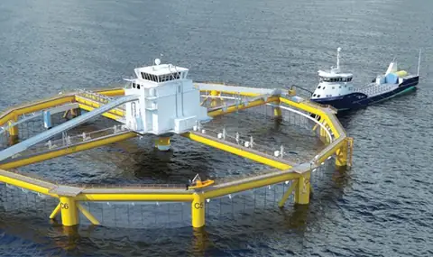 Artificial Intelligence Has Made this Possible for Fish Farming