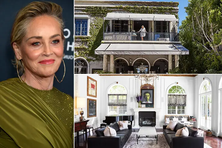 SHARON STONE – 60 MILJOEN EURO