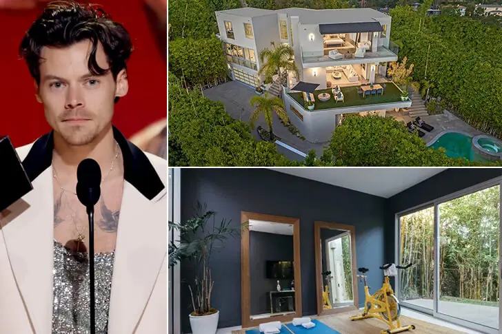 HARRY STYLES – 80 MILJOEN EURO