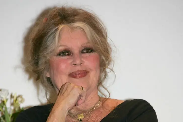 BRIGITTE BARDOT, SCHAUSPIELERIN – 215 MILLIONEN EURO
